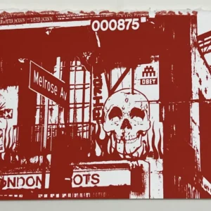 Space Invader & Obey LA_56, LOS ANGELES, 2019